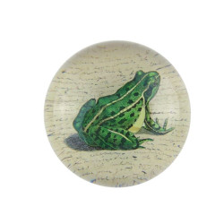 John Derian Frog Prince...