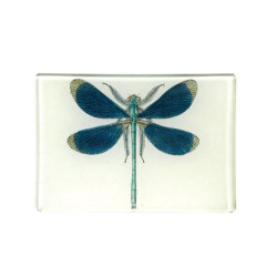 Dragonfly Pin-Up| Mini...