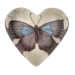Blue Grey Butterfly| Heart...