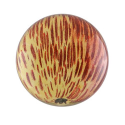 Striped Apple Fermacarte...