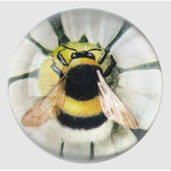 John Derian Fuzzy Bee...