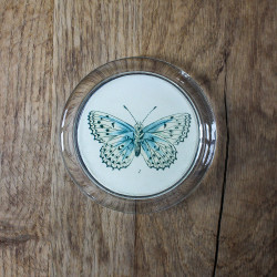 Butterfly 4" Coaster by...