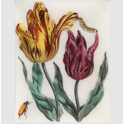 Tulips & Bugs Vassoio...