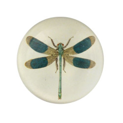 Fermacarte Dome Dragonfly...