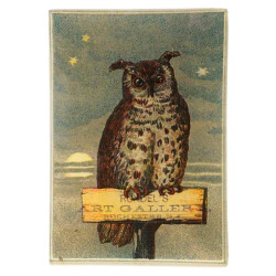 Owl Gallery | Mini Vassoio...
