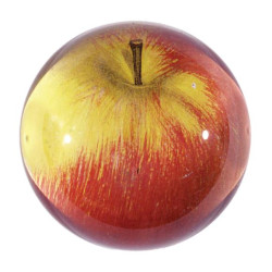 Apple (Red) Fermacarte Dome...