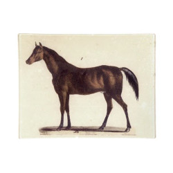 Horse| Rectangular Tray by...