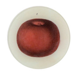 Lady Apple 2| Round Plate...