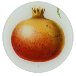 Pomegranate 4 - Round Plate...