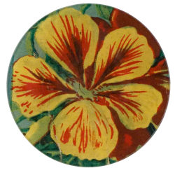 Nasturtium Packet - Round...