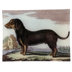 Dachshund Black - Vassoio...