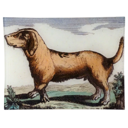 Dachshund Brown - Vassoio...